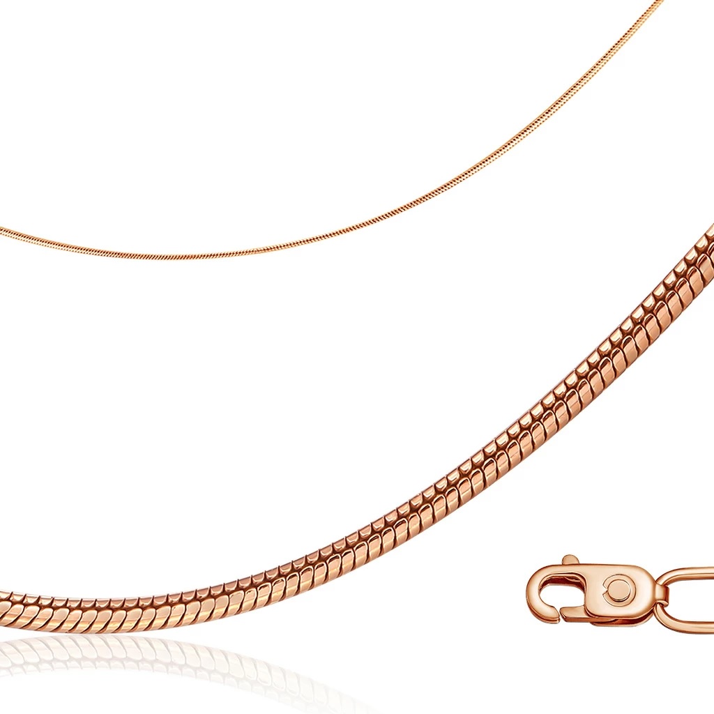 Панцирная.jpg Панцирная.jpg